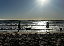 Hunde_Strand_Stadtstrand_Palma___Foto_von_Lena