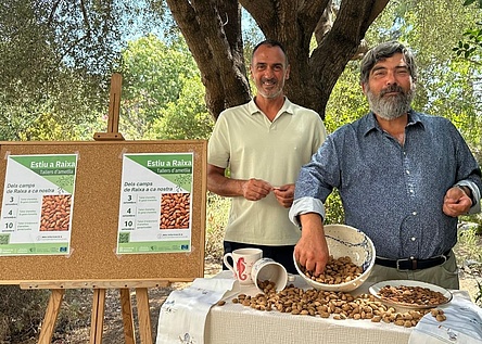 Mandelworkshop_Raixa_Consell_de_Mallorca