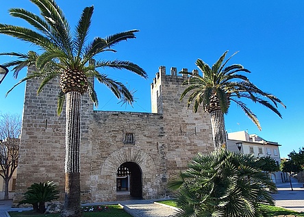 Alcudia_Mauer_intern_Dominik