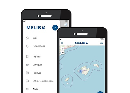 Aplicacio_MELIB_E_Autos_Strom_caib