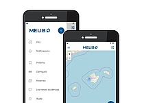Aplicacio_MELIB_E_Autos_Strom_caib