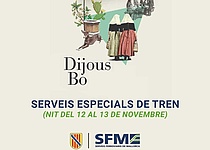 DijousBoSonderzuegeSFM_Caib