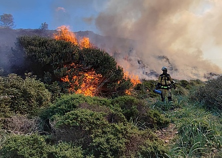 KontrollierteFeuerBalearen_X_Agricultura_Goib