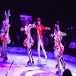 Bild_circoalegria_diariodemallorca