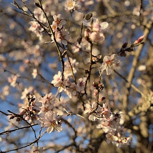 poiImage_8813_1768601215