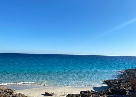 WhatsApp_Image_2024_10_10_at_13