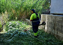 sturzbach_reinigen_ajuntament_palma