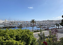 palma_hafen_intern