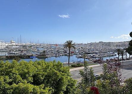 palma_hafen_intern