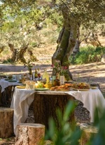 Picknick_Son_Moragues_Sonmo_Webseite