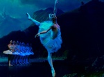 ballettschwanensee