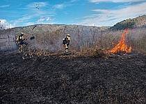 Feuers_Albufera_AgriculturaGoib