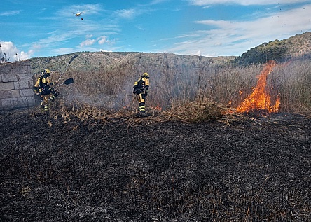 Feuers_Albufera_AgriculturaGoib