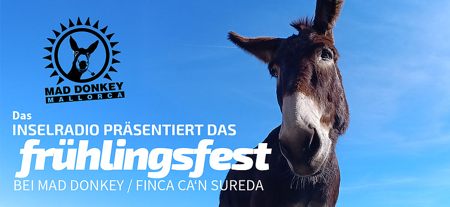 ir_maddonkey_header