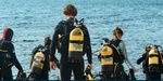 puerto_portals_website_