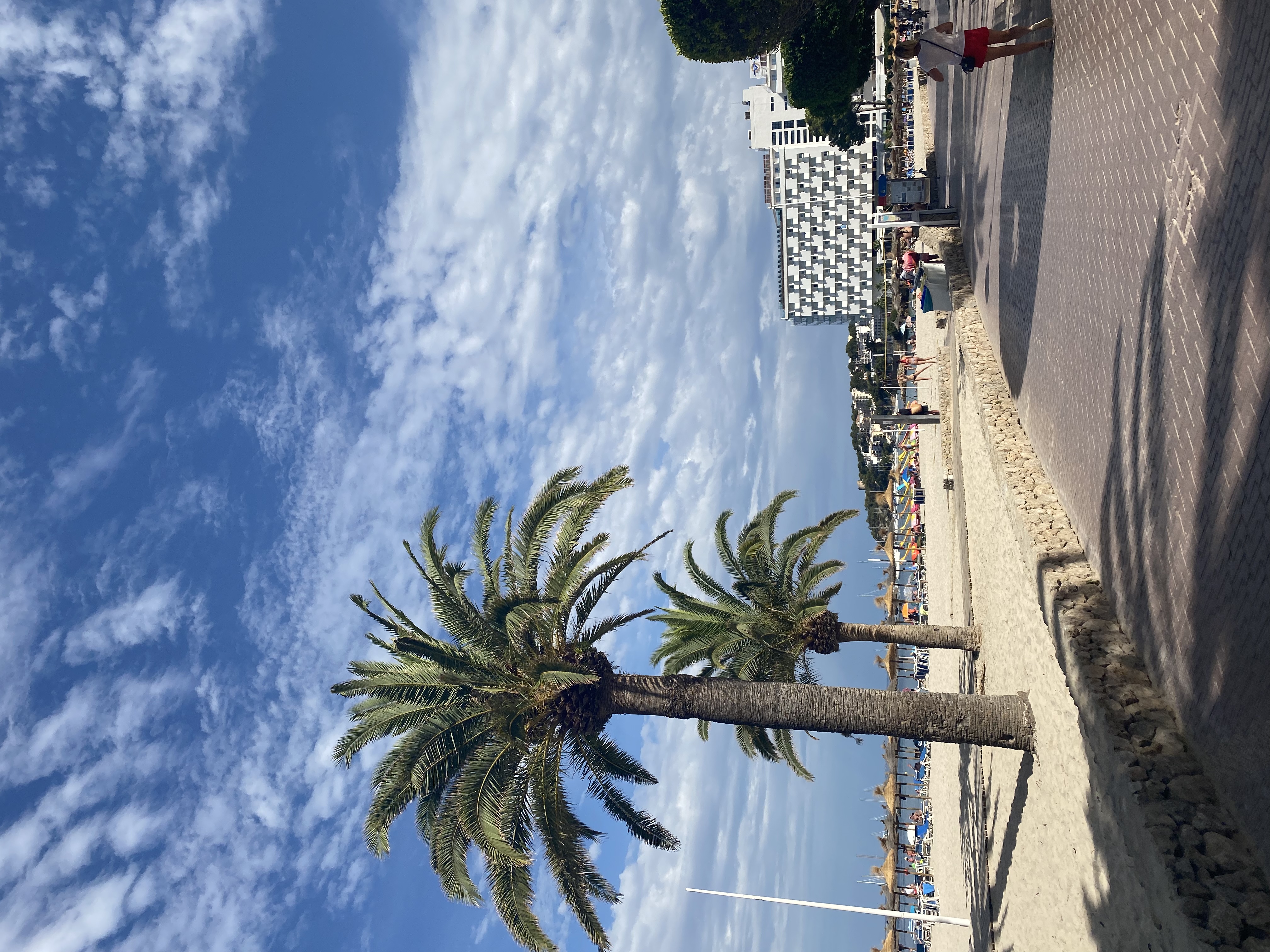 StrandPalme_InternMaresa