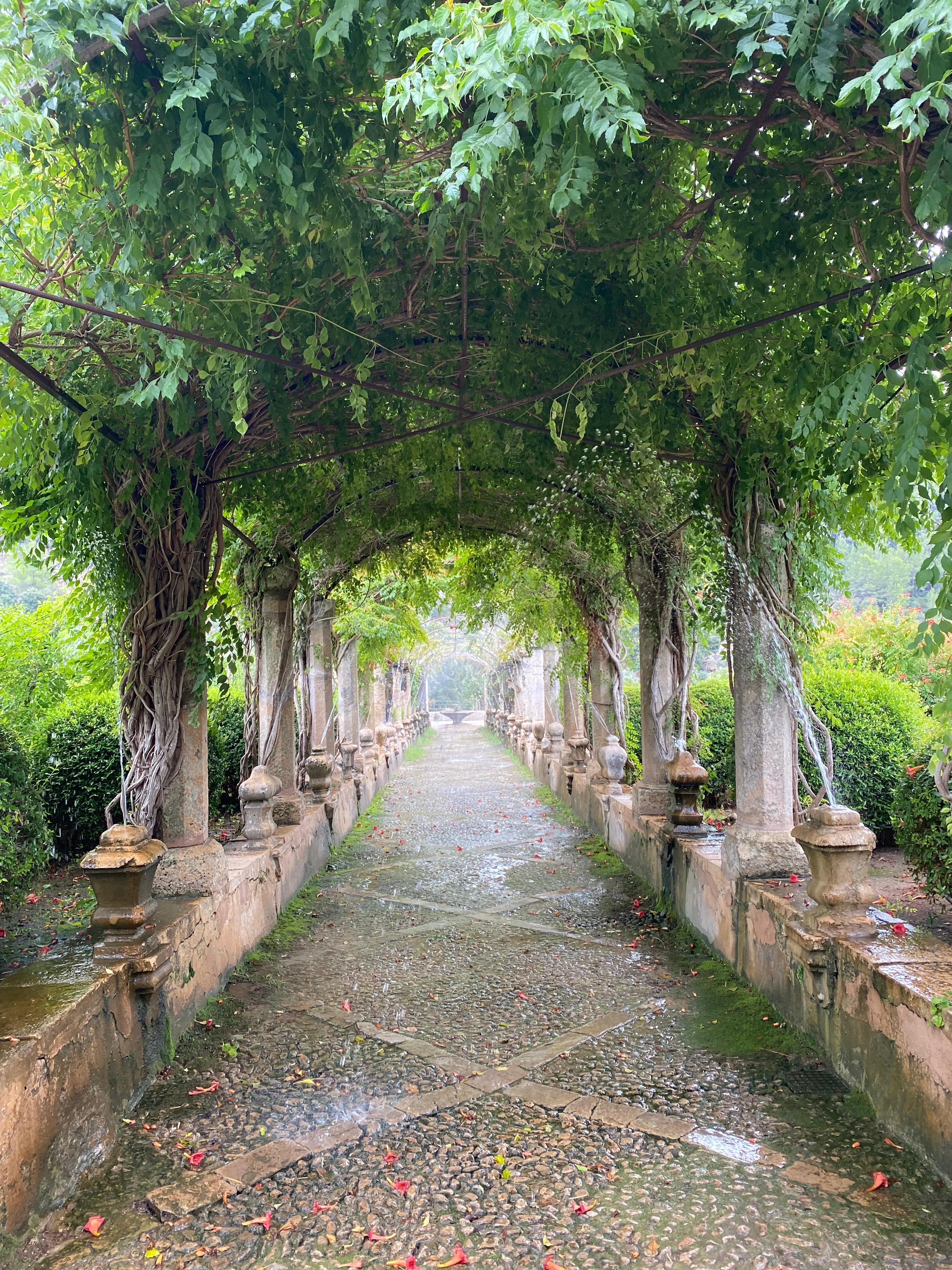 Jardins_de_Alfabia_intern_Maresa__1_