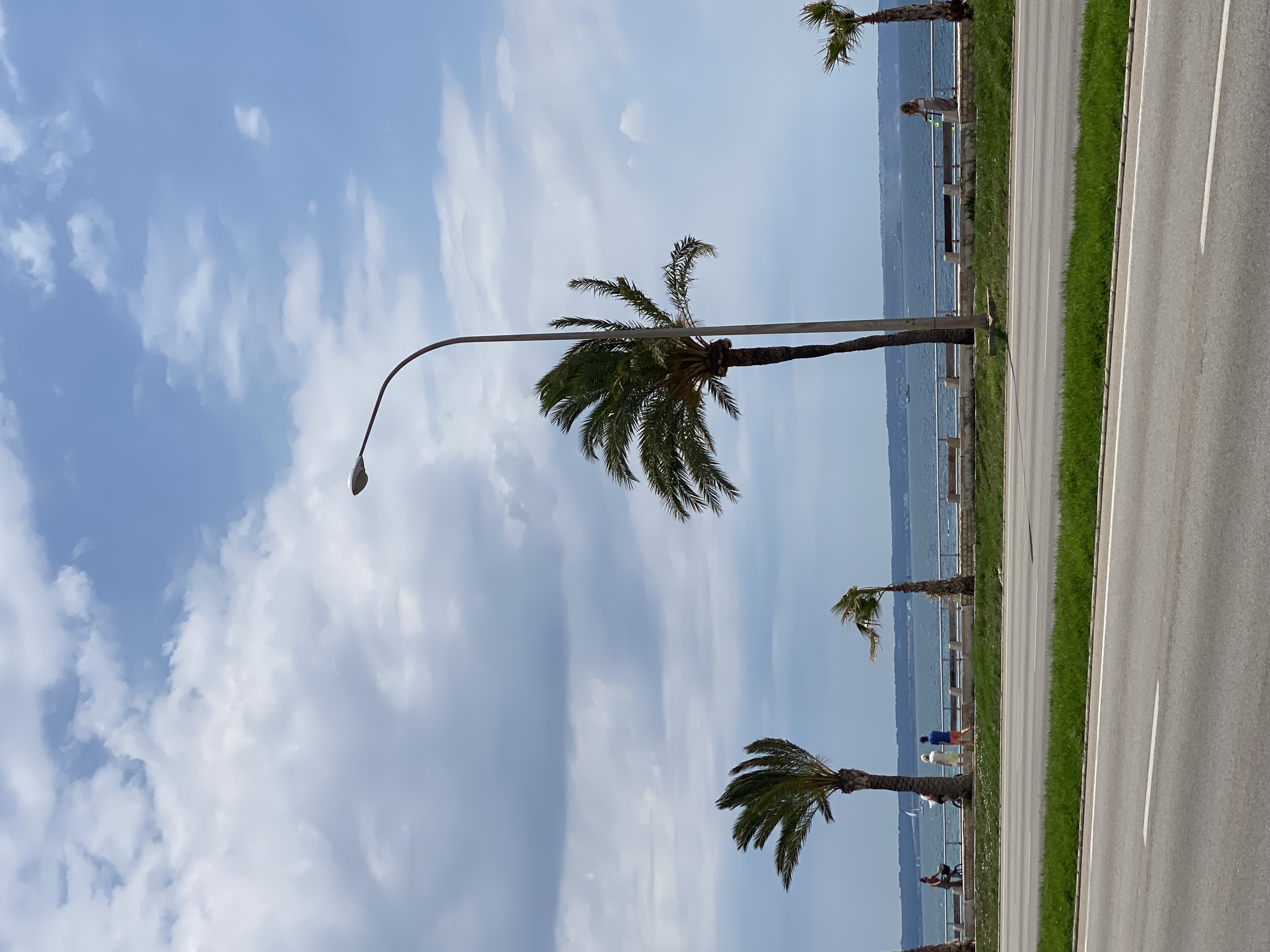 palmen_im_wind_schlechtes_wetter_intern_9_16